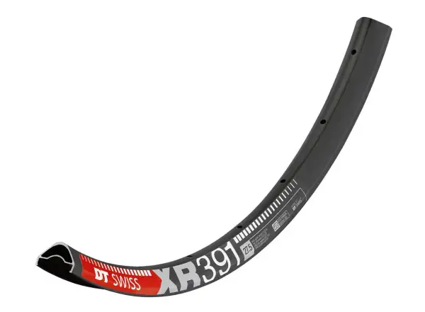 DT Swiss XR 391 29" MTB Felge schwarz