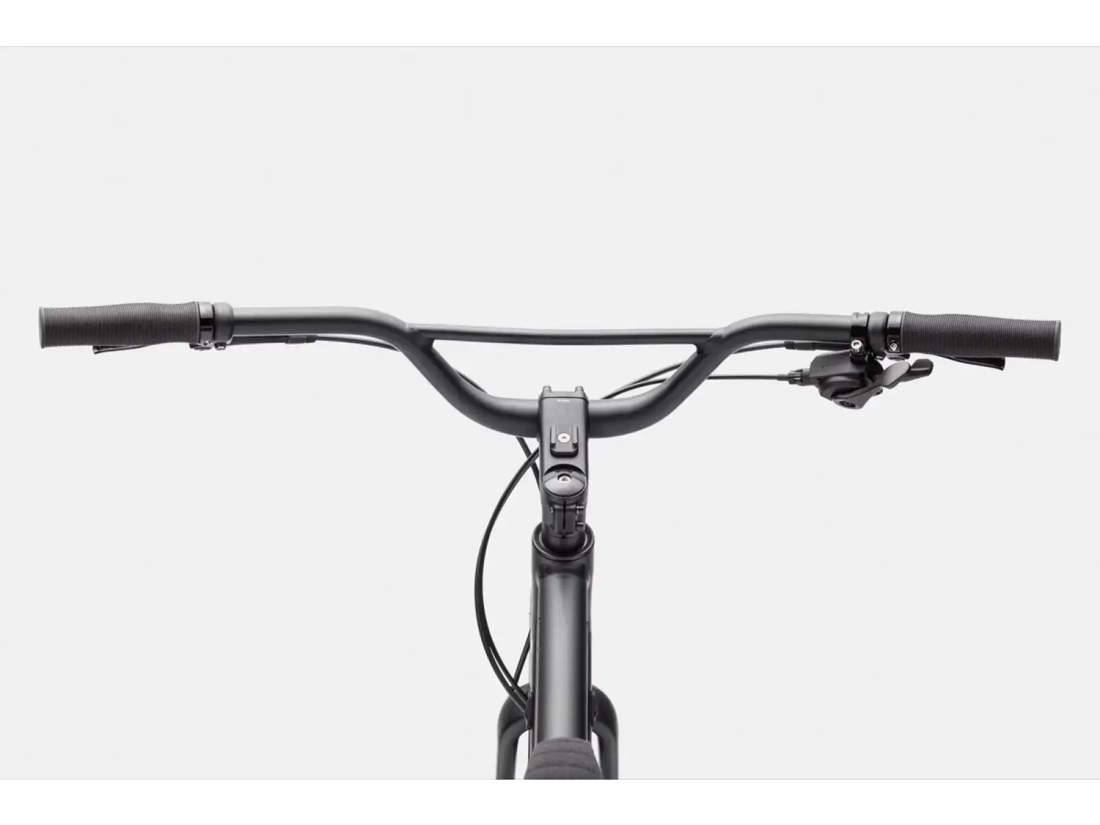 Cannondale Treadwell 2 Ltd RAW Fitnessbike