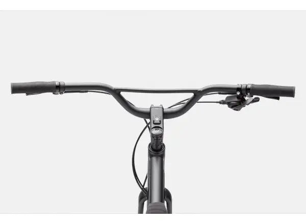 Cannondale Treadwell 2 Ltd RAW Fitnessbike