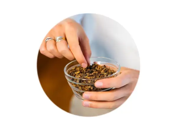Grig knusprige Wasabi-Heuschrecken, 13 g