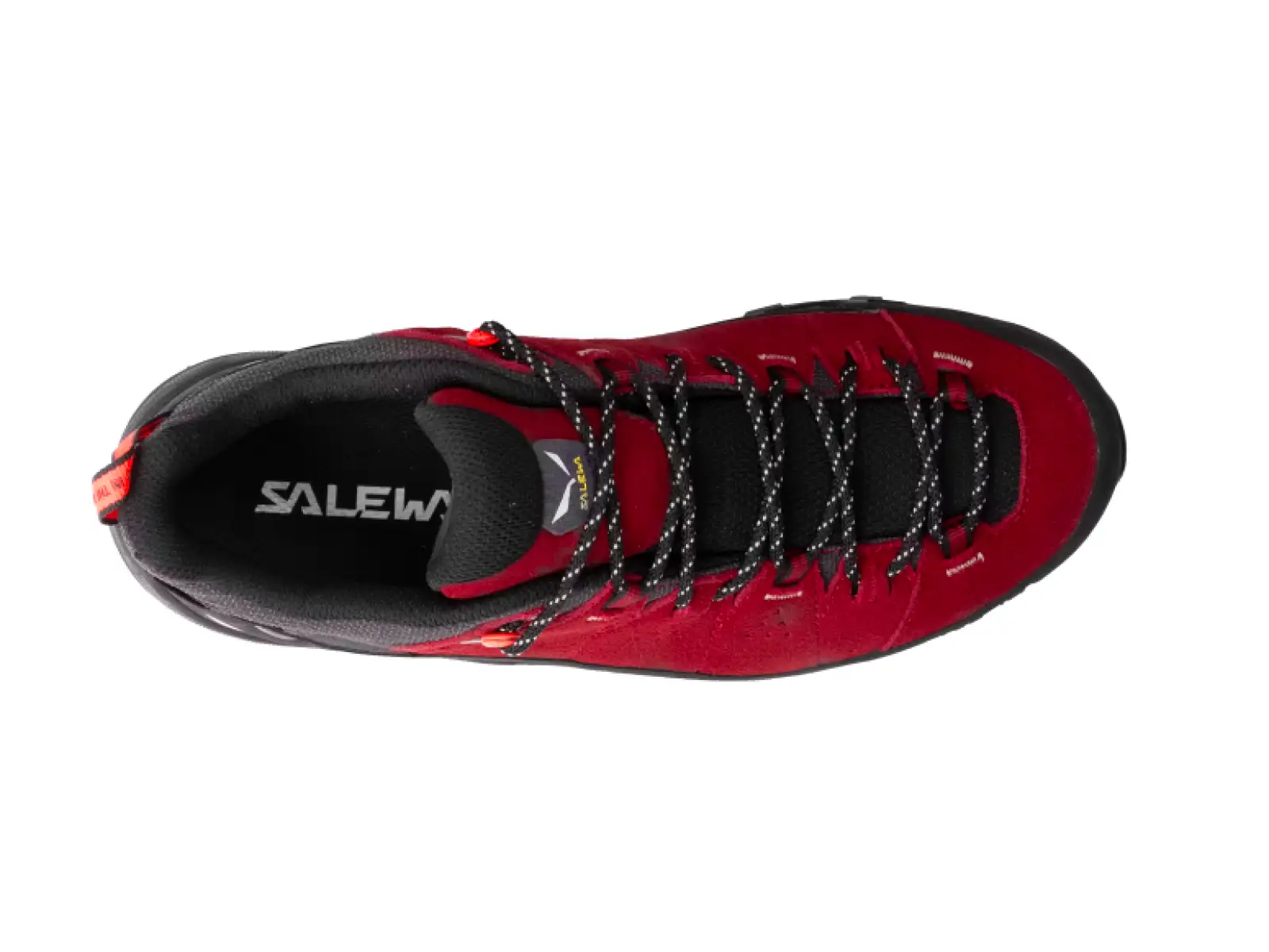Salewa Alp Trainer 2 GTX Damen Schuhe Red Syrah/Black