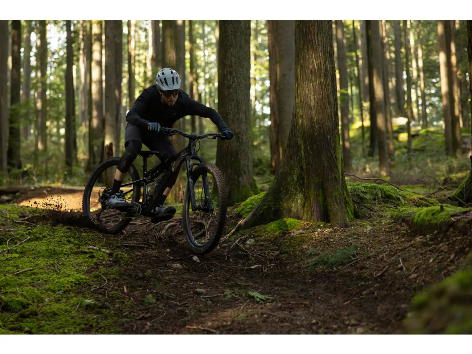 Giant Stance 2026 Mountainbike Black