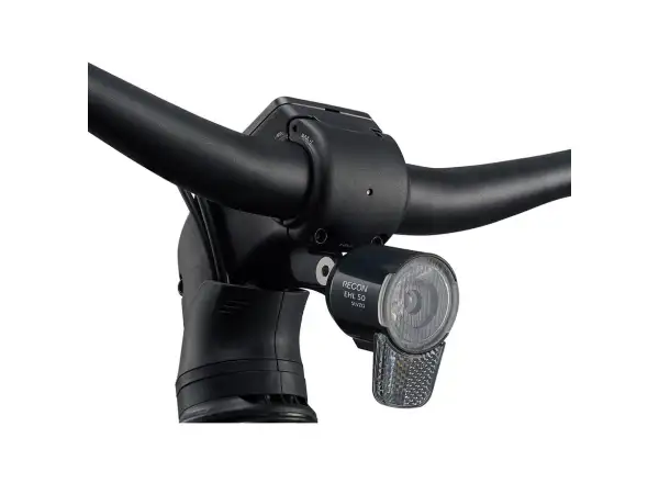 Giant Explore E+ 3 Pro DD Trekking-E-Bike Pyrite Brown