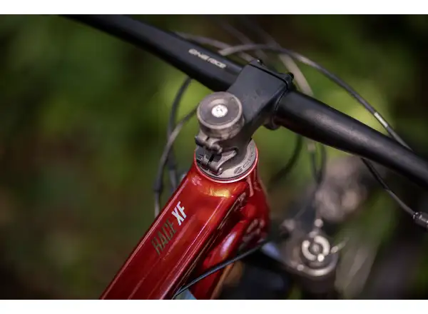 Superior XF 919 RC Mountainbike Gloss Dark Red/Hologram Chrome