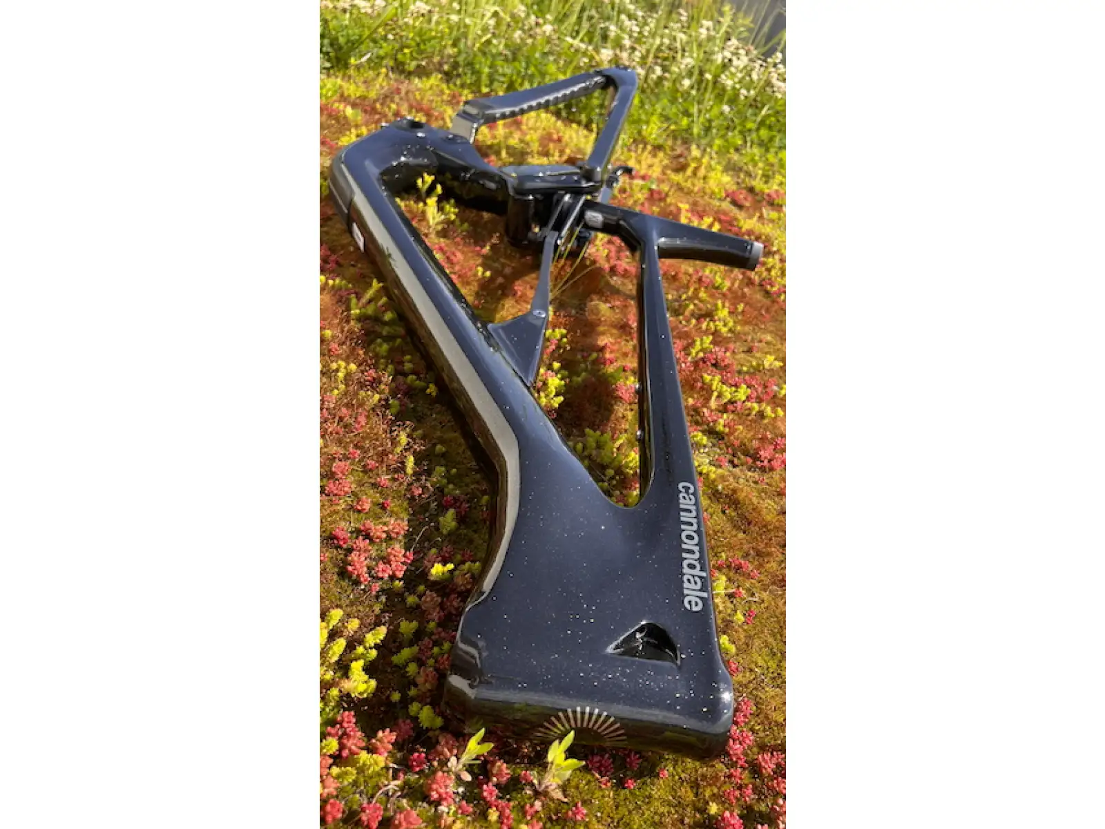 Cannondale Habit Carbon 29" MTB Rahmen GDT
