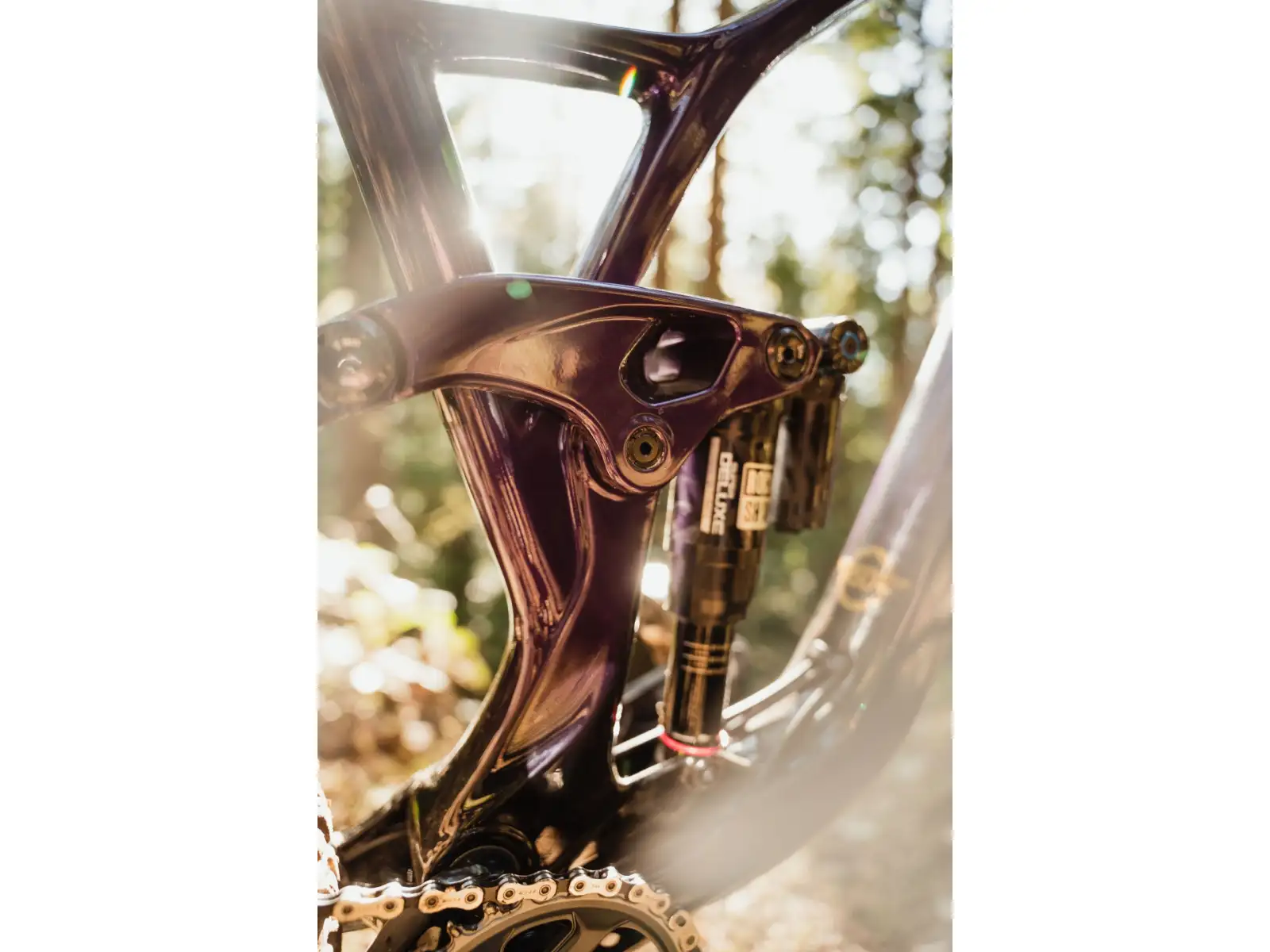 GT Sensor 29 Carbon Elite WGR Mountainbike