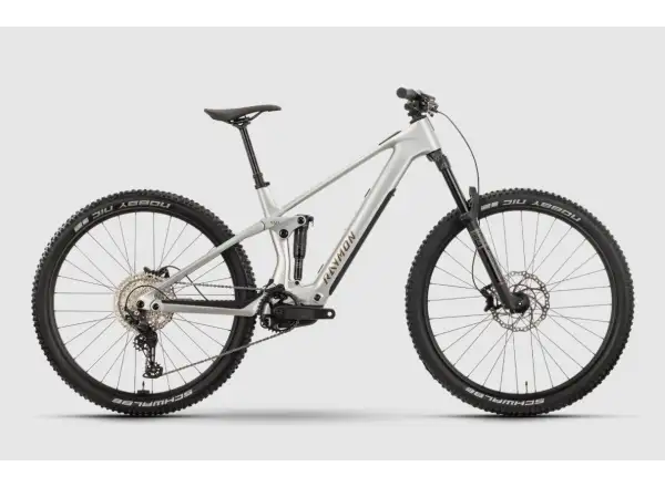 Raymon Airok vollgefedertes E-Bike Silver Stealth/Taupe