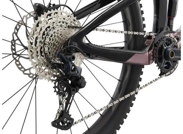 Giant Reign Advanced Pro 2 Mountainbike Orion Nebula/Carbon