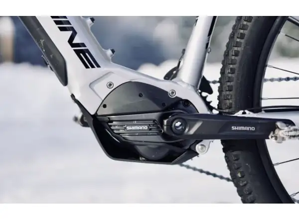 Rock Machine Blizz e60-29 Glanz Silber/Schwarz E-Bike.
