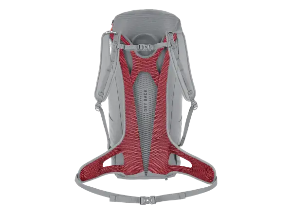 Salewa Alp Mate 24 WS Damenrucksack Alloy
