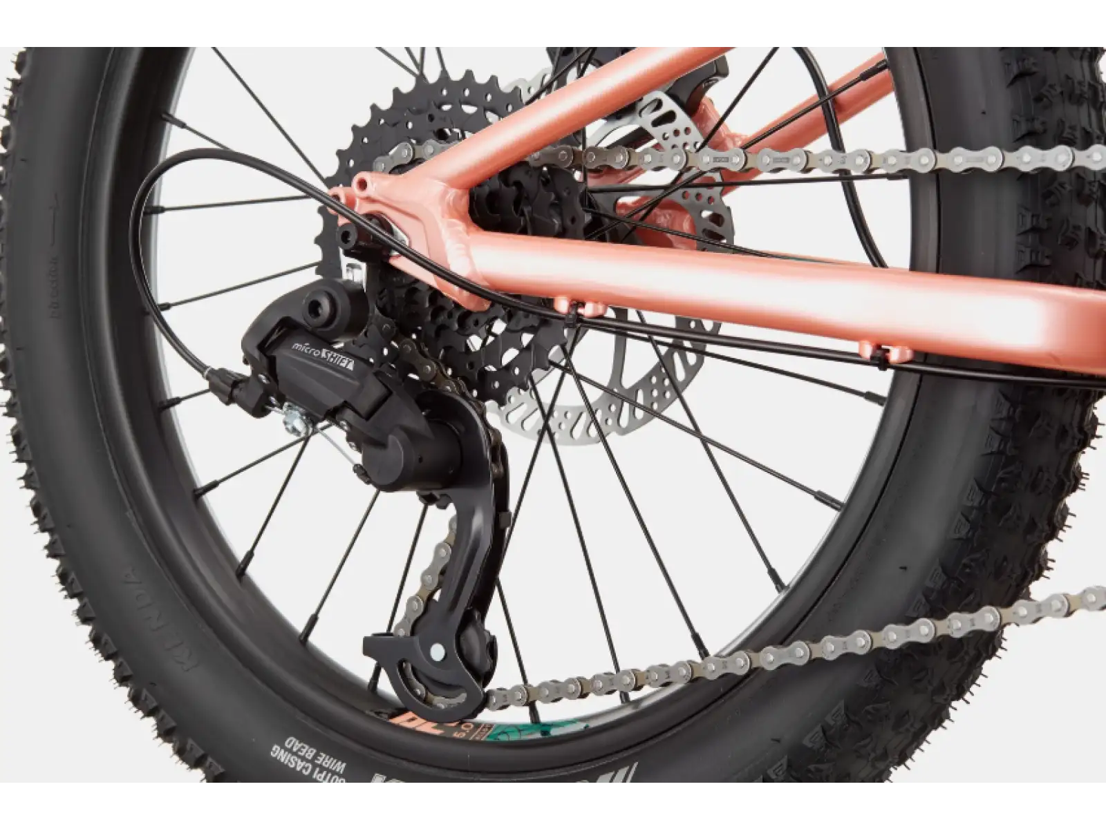 Cannondale Trail Plus 20 Kinderfahrrad Salmon