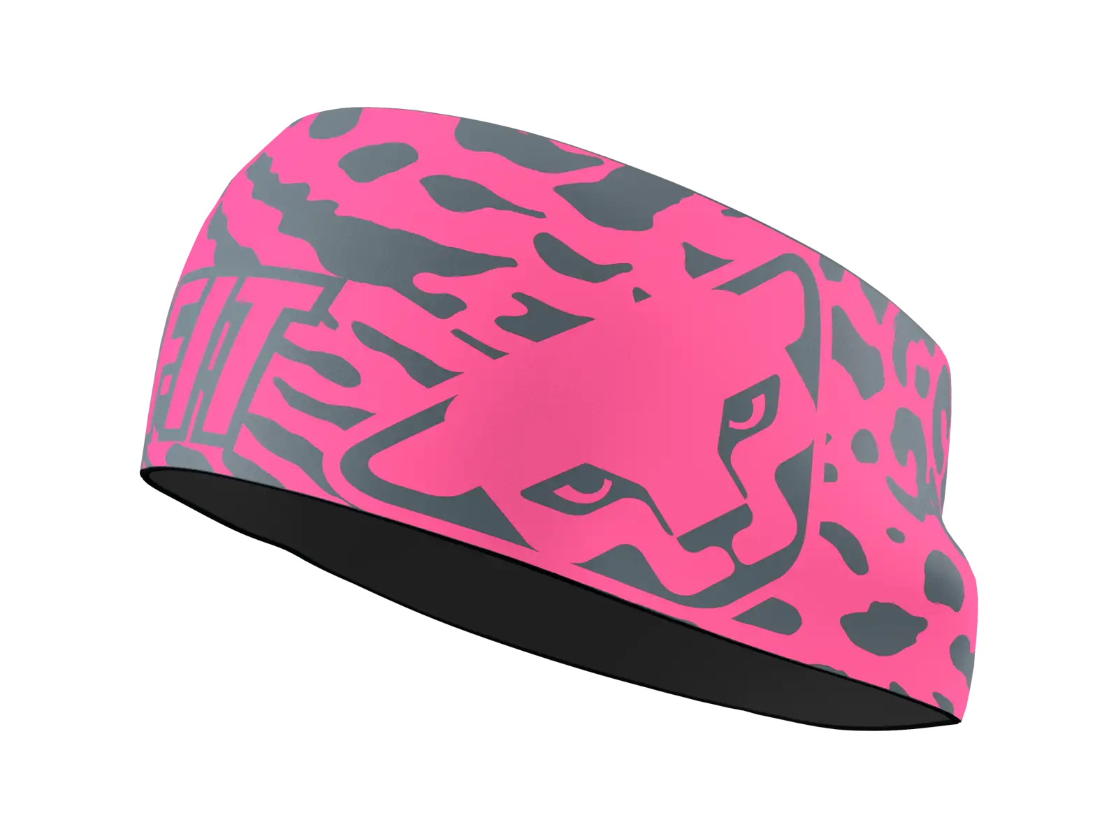 Dynafit Graphic Performance Stirnband Cabana/Gradient