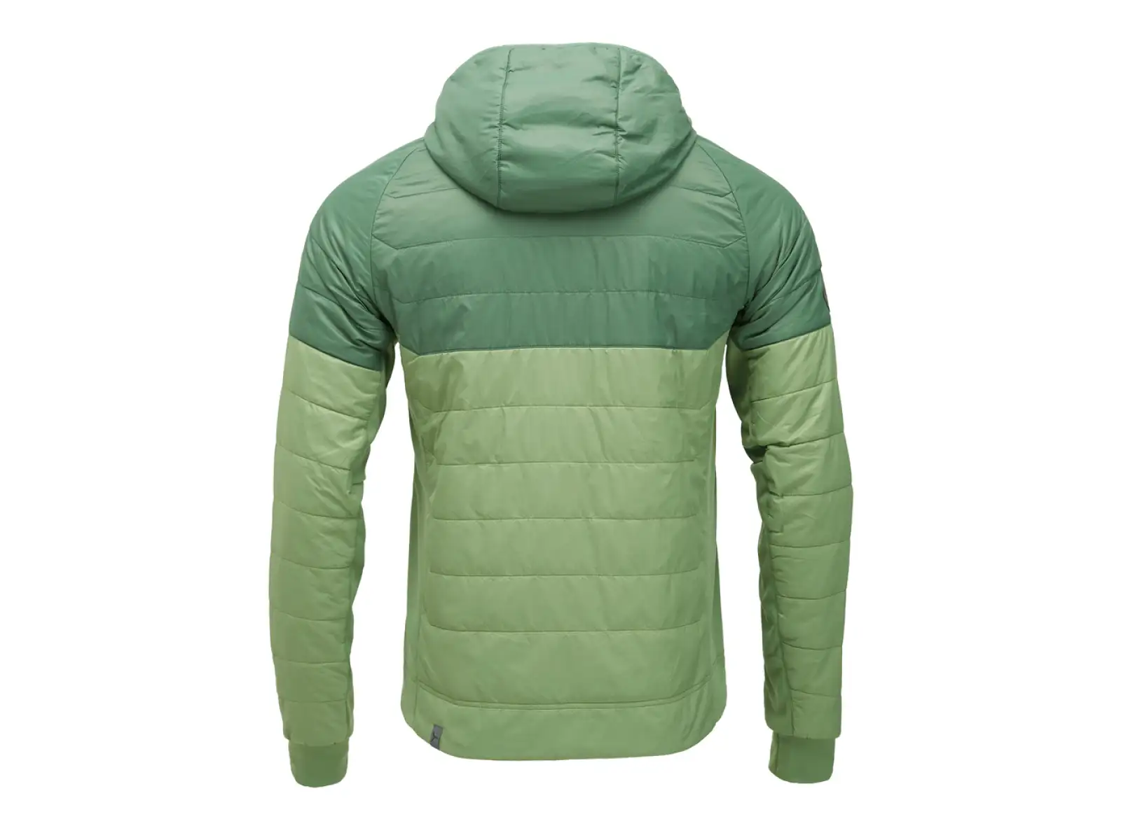 Silvini Deruta Herrenjacke grün/rubinrot