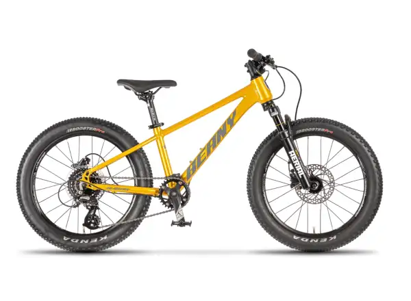 Beany Blaster 20 Kinderfahrrad Gold