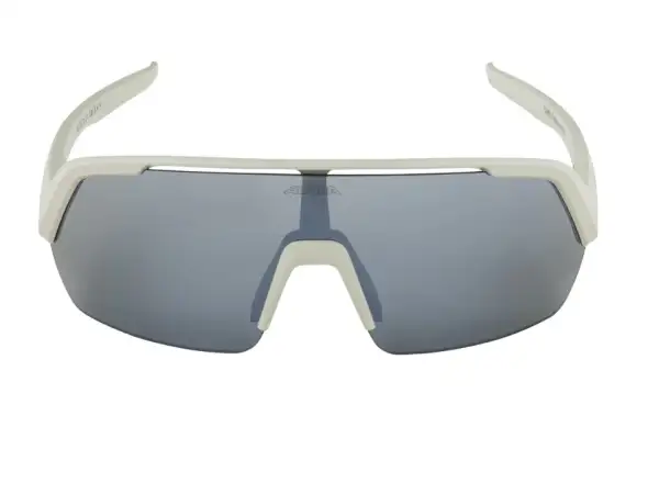 Alpina Turbo HR Brille Cool/Grey Matt