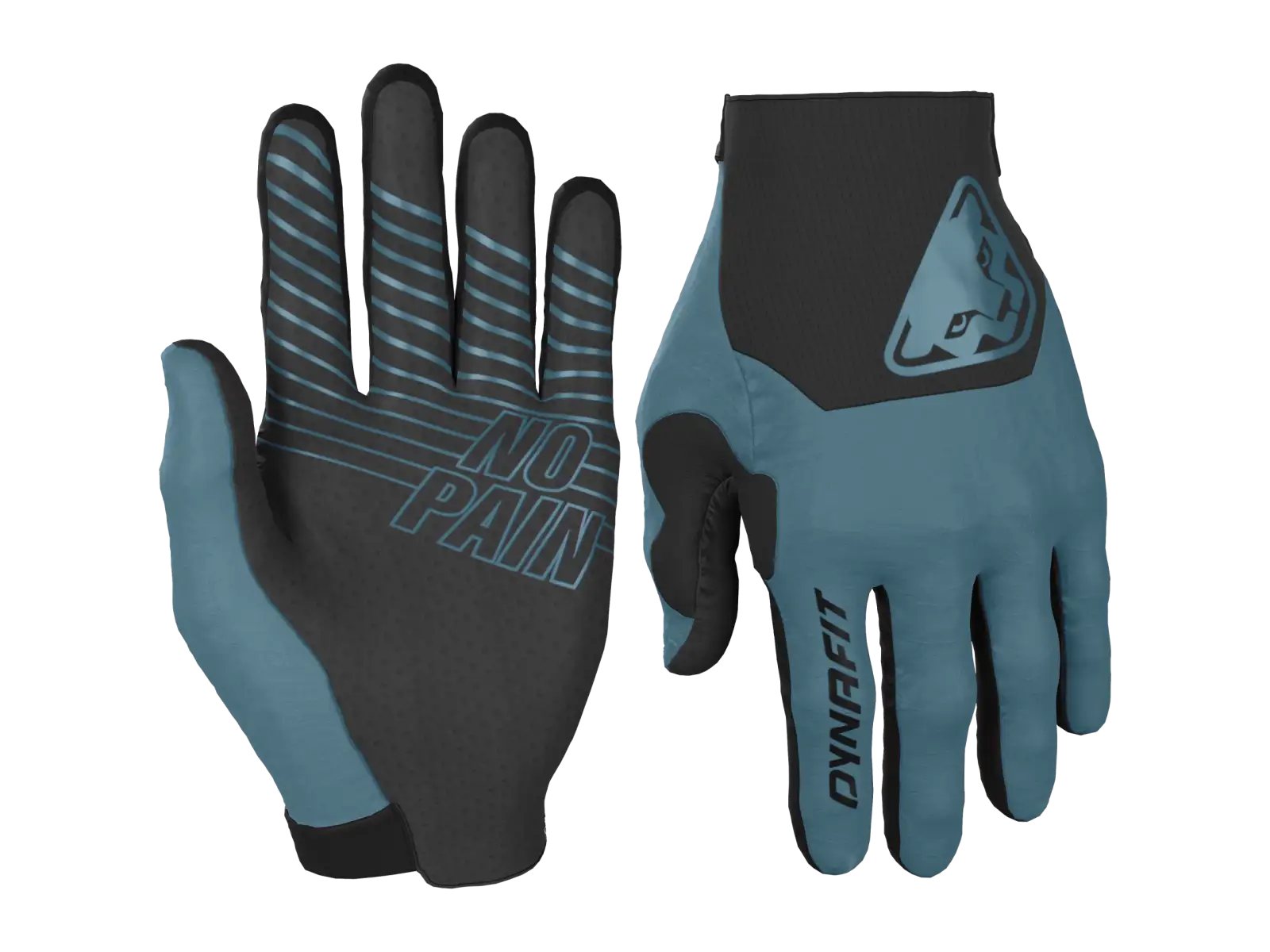 Dynafit Ride Handschuhe Storm Blue