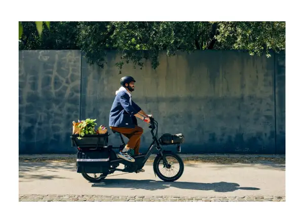 Cannondale Cargowagen NEO 2 Stadt-E-Bike GRY