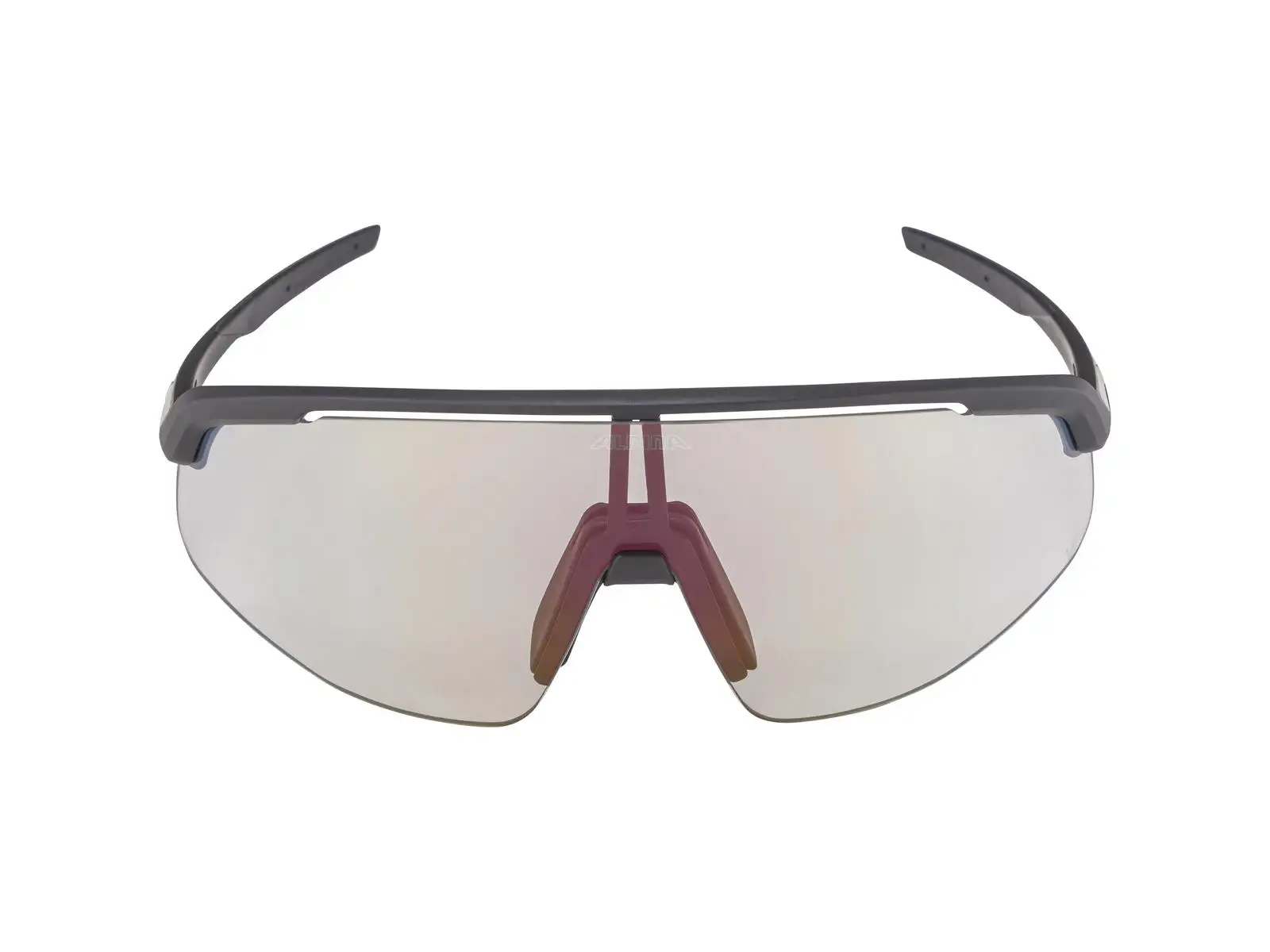 Alpina Turbo Pro V Brille Clear to Grey