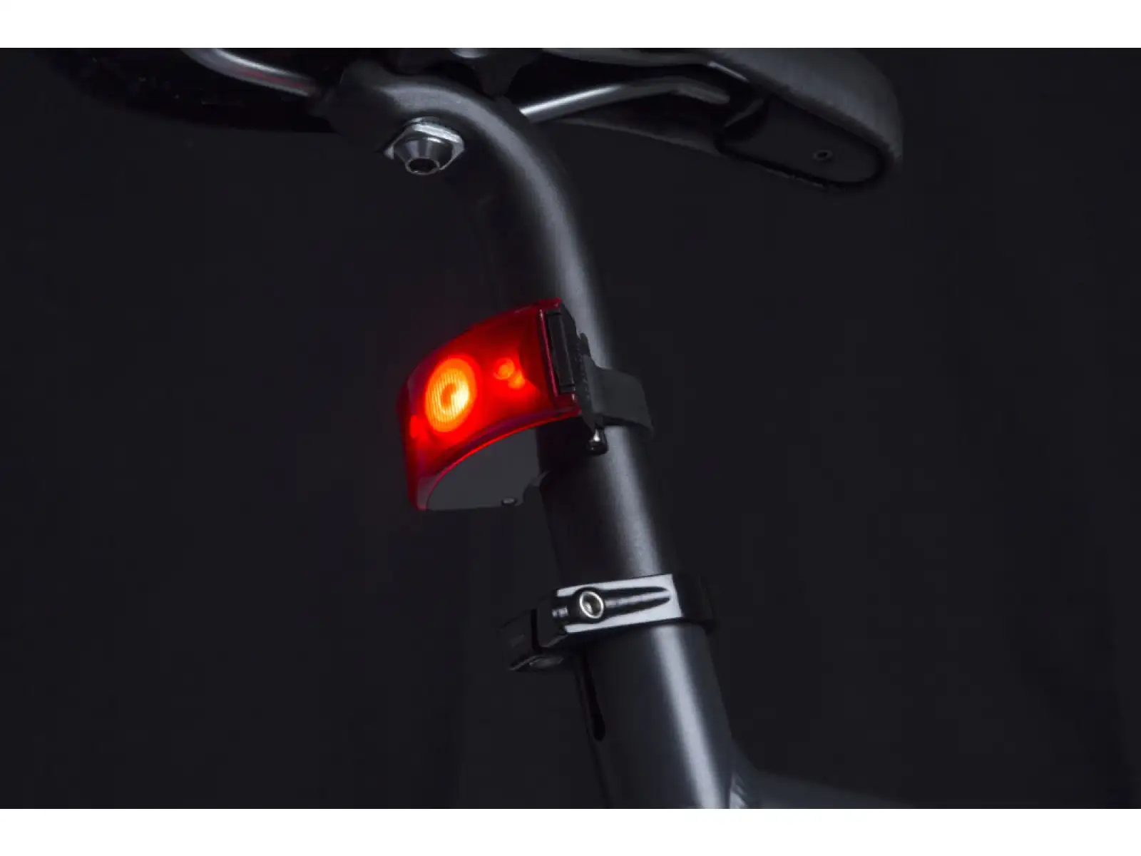 Bookman Curve Rücklicht USB Grün