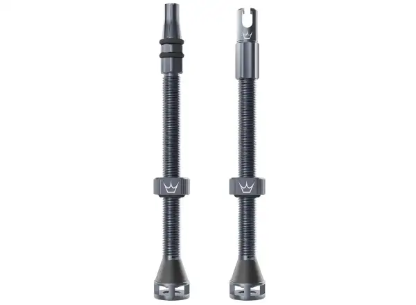 Peatys Holeshot Fast Flow Tubeless-Ventile 80 mm Slate