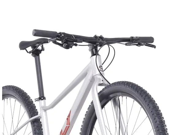 Superior F.L.Y. 27 Kinderfahrrad Matte Silver
