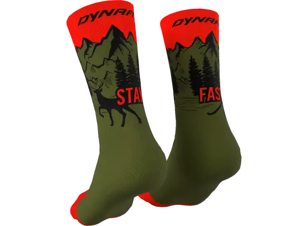 Dynafit Stay Fast Sportsocken Winter Moos