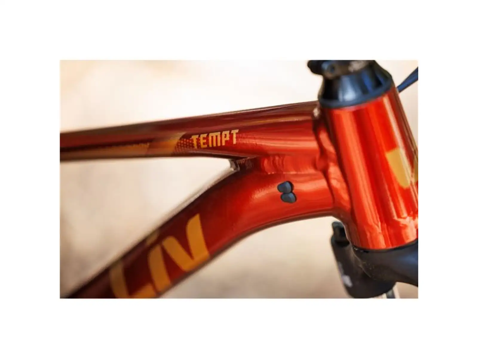 Giant Tempt 2 XS Mountainbike Mars Dust