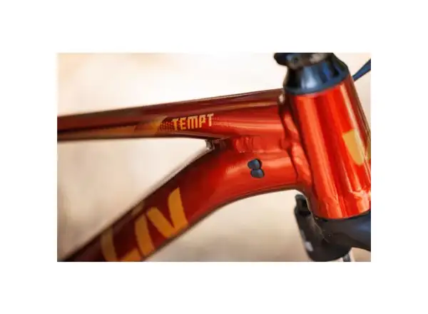 Giant Tempt 2 XS Mountainbike Mars Dust
