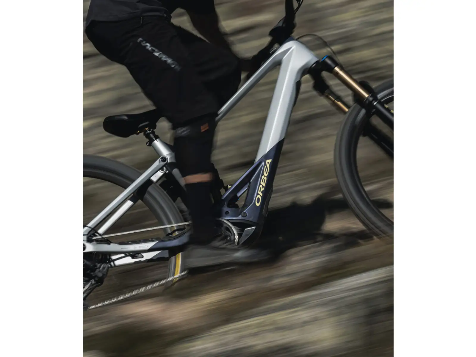 Orbea Wild M20 E-Mountainbike Halo Silver/Tanzanite Carbon.