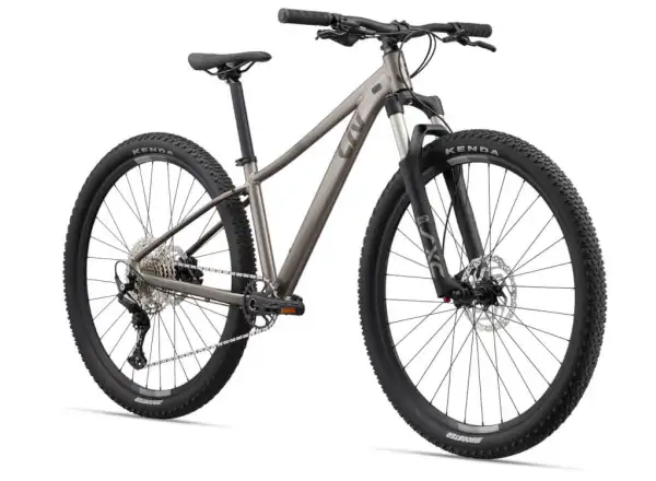 Liv Tempt 29 0 Metal 2022 Mountainbike