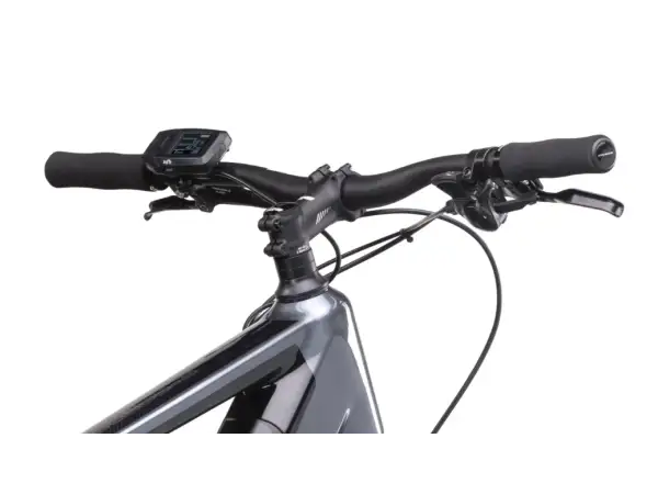 Crussis e-Gordo 7.10 (522 Wh) Trekking E-Bike