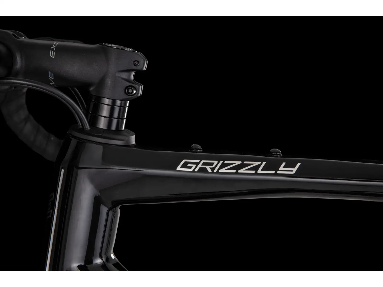 4Ever Grizzly Elite Gravelbike black