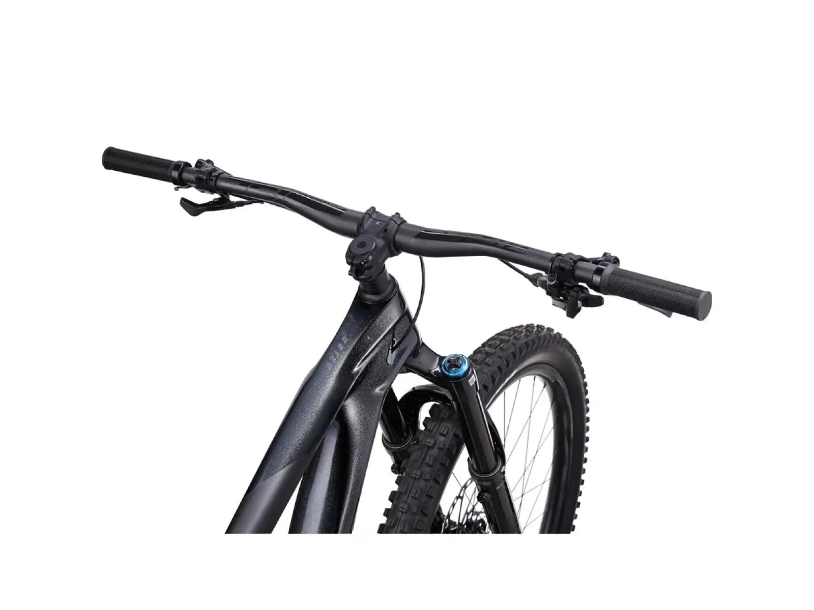 Giant Reign Advanced Pro 1 Mountainbike black diamond/carbon