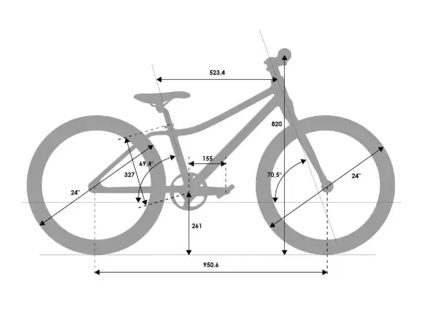 Rascal 24 5 sp. Sturmey Archer Kinderfahrrad Titan