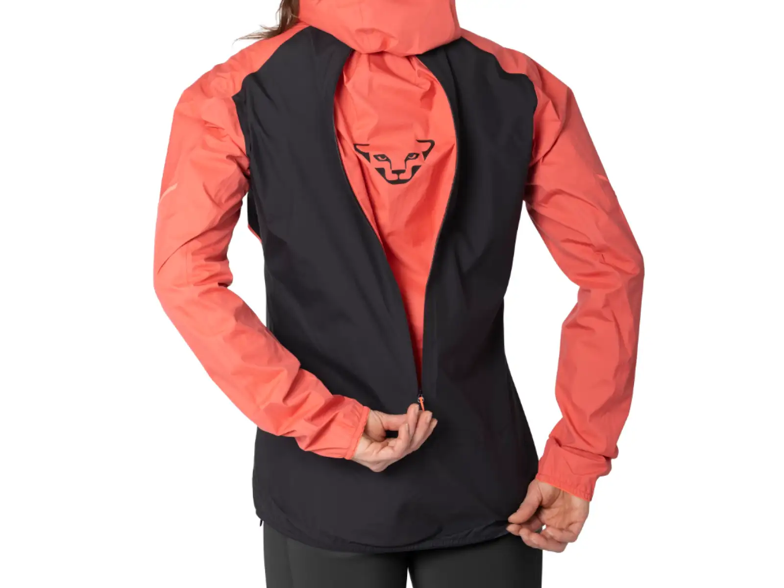 Dynafit Alpine 3 L Damen Laufjacke Cabana