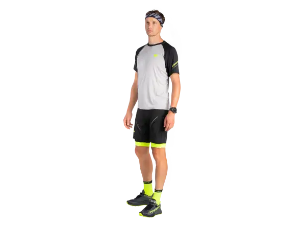 Dynafit Alpine Pro Herren Langarm-Laufshirt Nimbus Melange