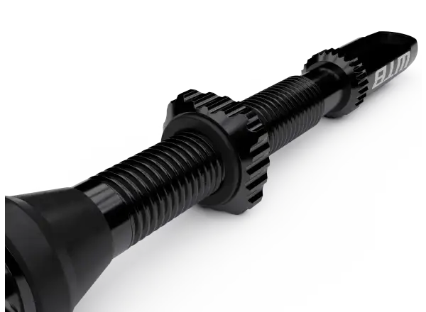 WTB TCS AL Max-Flow Presta Valve Tubeless Ventile 65mm schwarz 2 Stk
