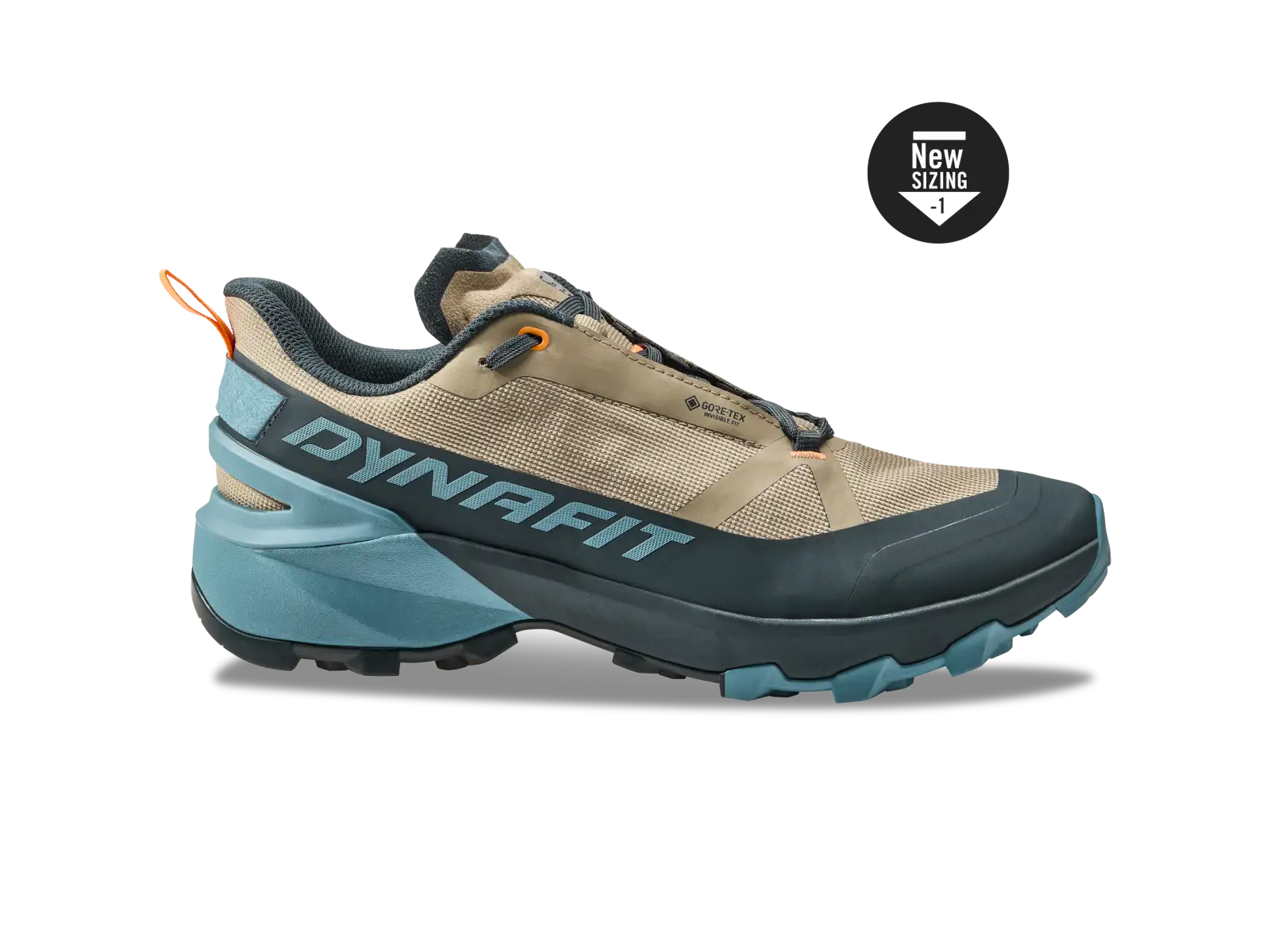 Dynafit Transalper 2 GTX Herrenlaufschuhe Blueberry/Fallen Rock
