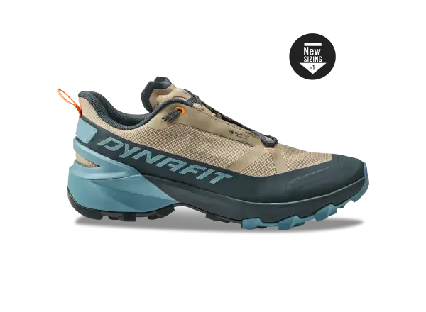 Dynafit Transalper 2 GTX Herrenlaufschuhe Blueberry/Fallen Rock