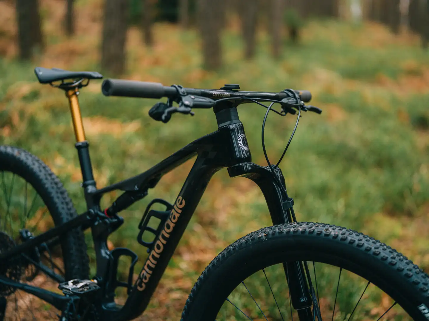 Präsentieren: Neues Cannondale Scalpel