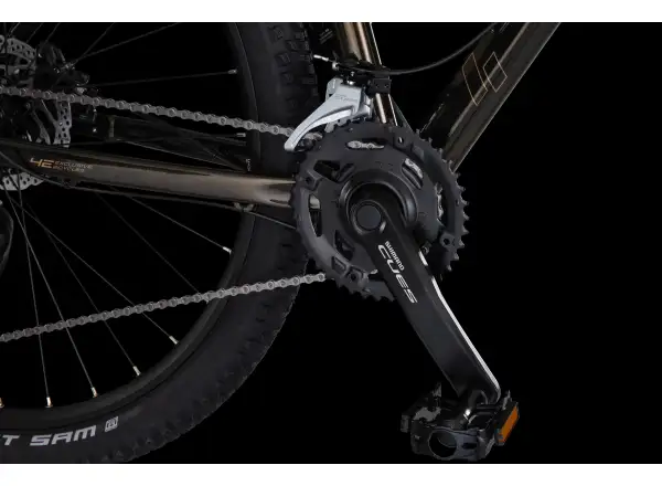 4Ever Frontbee XCM 29" Mountainbike Gold galaxy