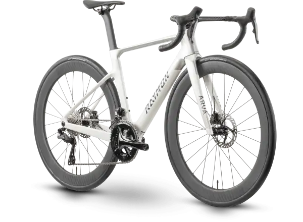 Raymon Arva Pro 24S Ultegra Di2 Rennrad starwhite/silver