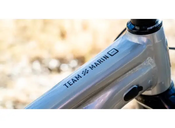 Marin Team Marin 1 29" Mountainbike Chrom/Schwarz