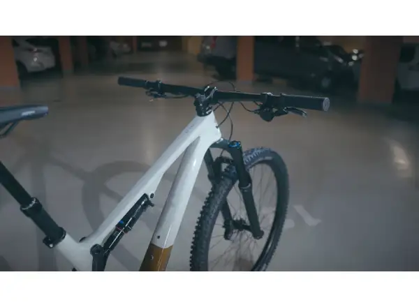 Superior XF 929 TR Mountainbike Glanz Grau/Kupfer