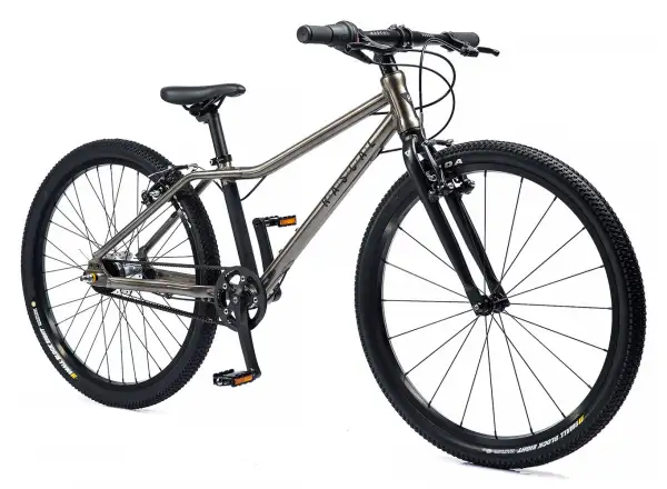 Rascal 26 7-Gang Shimano Nexus Kinderfahrrad in Titanium