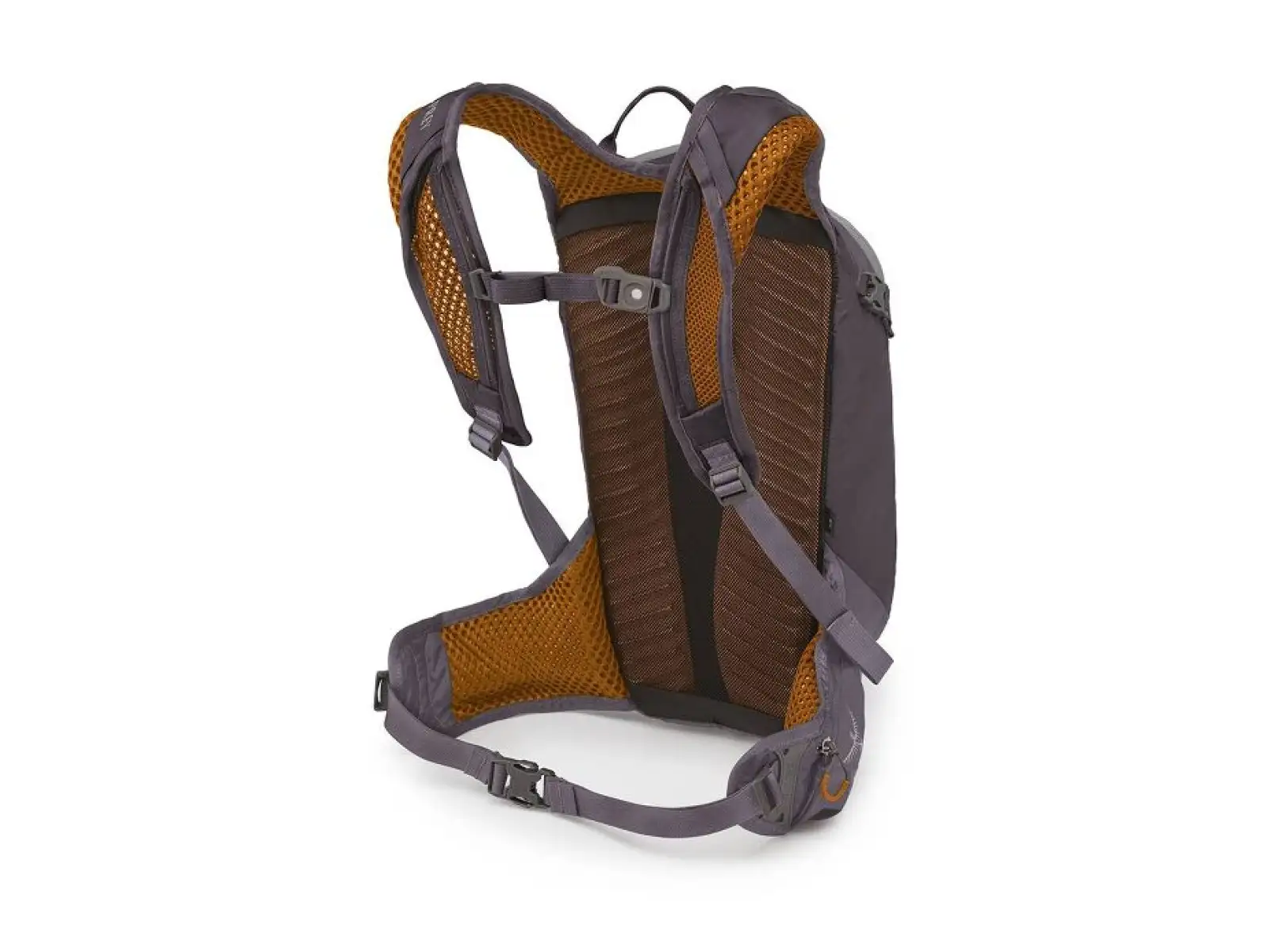 Osprey Salida 12 Rucksack + Trinkblase Space Travel Grey