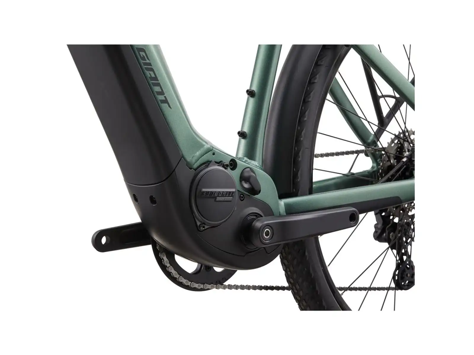Giant Explore E+ 1 DD Trekking E-Bike im nebeligen Wald.