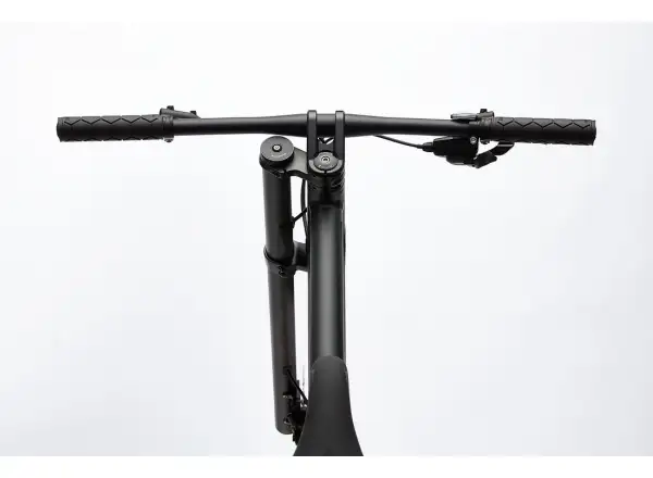 Cannondale Bad Boy 1 BBQ Urbanbike