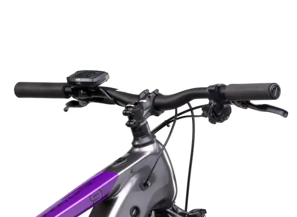 Crussis e-Fionna 9.10-L (900 Wh) Mountain-E-Bike
