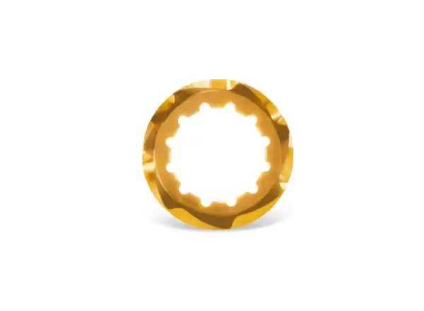 Garbaruk Kassette Shimano MicroSpline in Gold